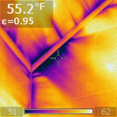 infrared camera shows air leaks around wall top plates during energy audit